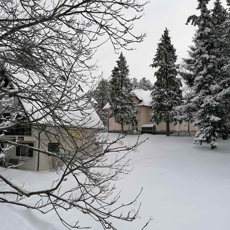 Vila Kuca Za Odmor Zlatibor Exteriér fotografie