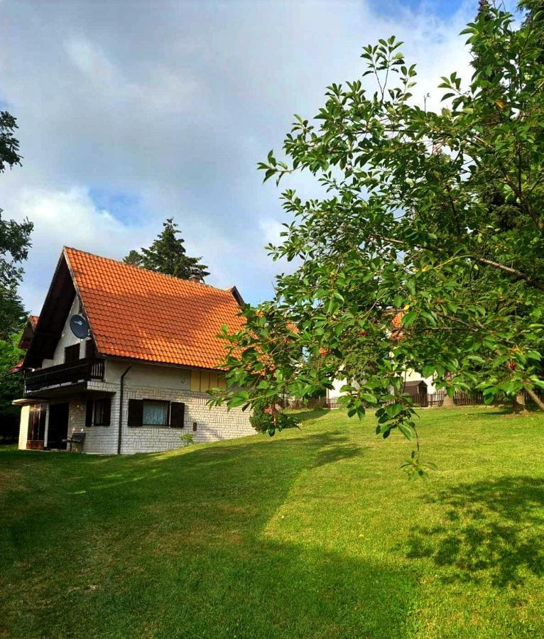 Vila Kuca Za Odmor Zlatibor Exteriér fotografie