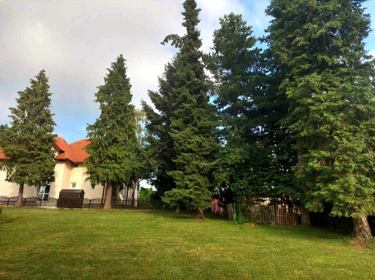 Vila Kuca Za Odmor Zlatibor Exteriér fotografie